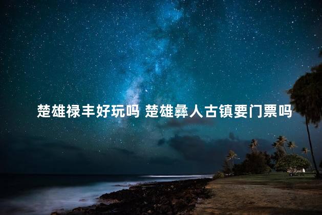 楚雄禄丰好玩吗 楚雄彝人古镇要门票吗